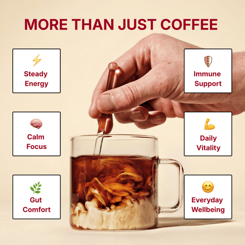 Noōr Mushroom Coffee