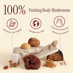 Noōr Mushroom Coffee