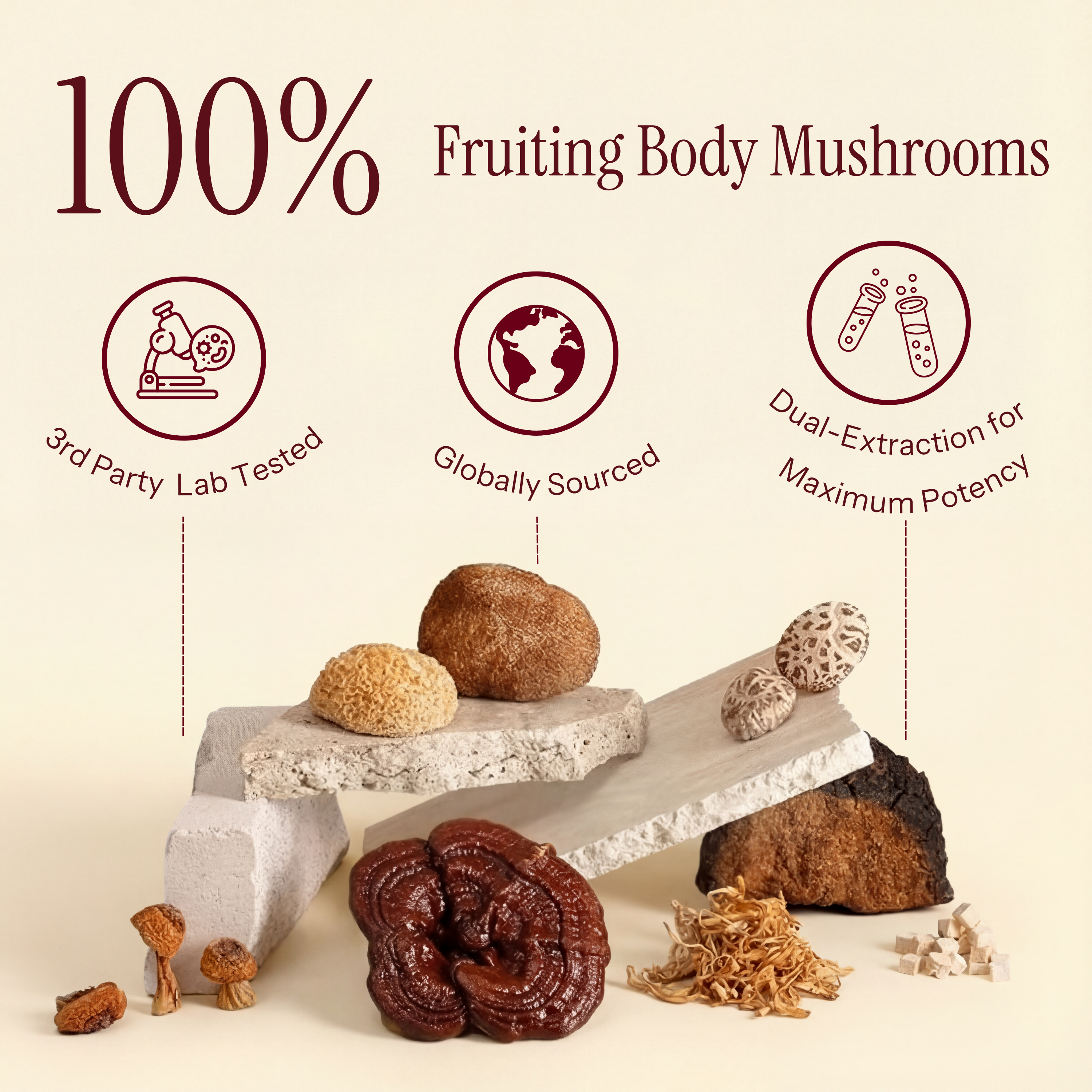 Noōr Mushroom Coffee